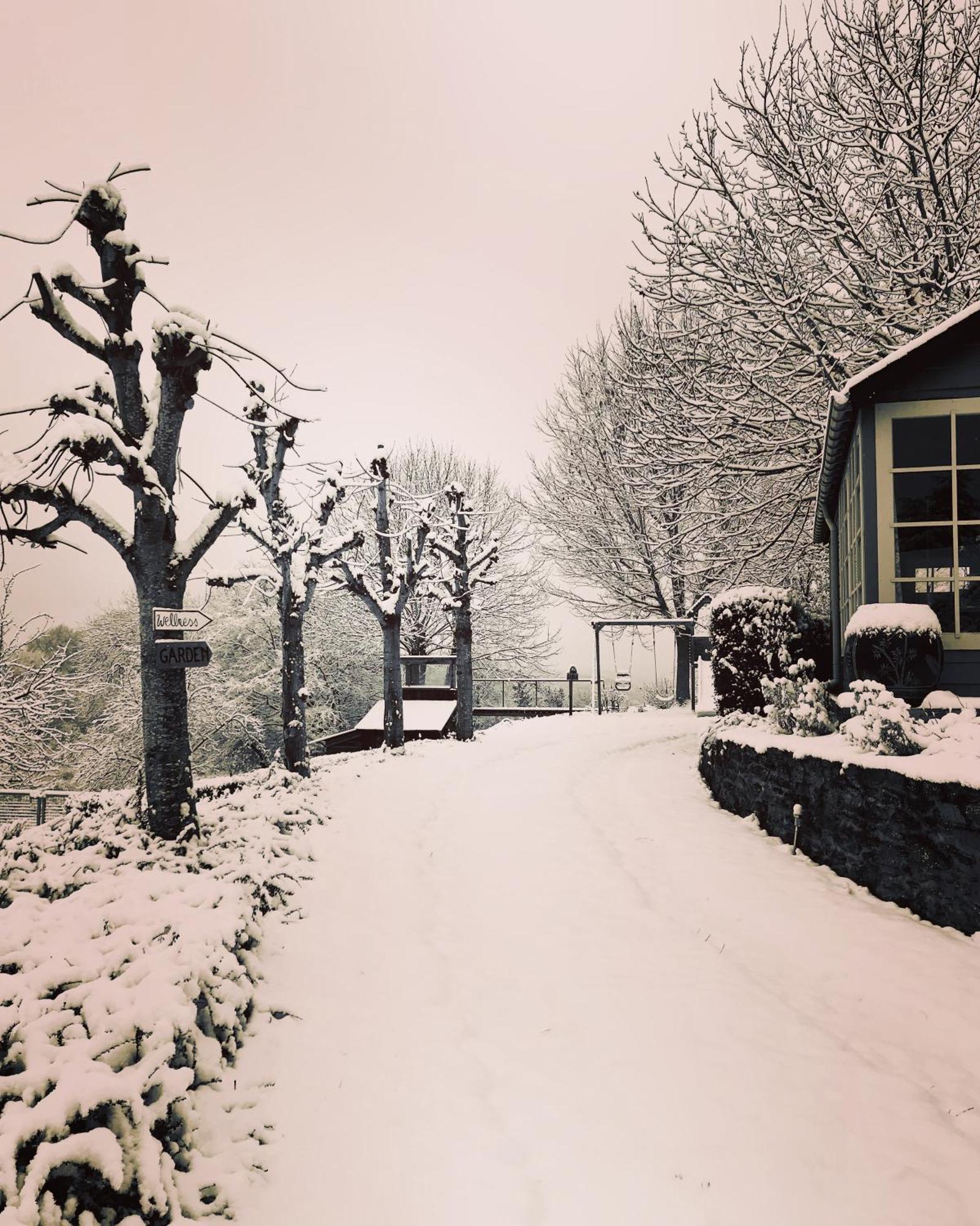 La Vieille Forge B&B Houffalize Eksteriør billede